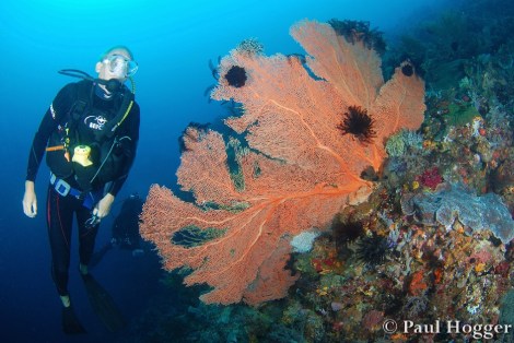 Alor Dive 3 Paul (5)