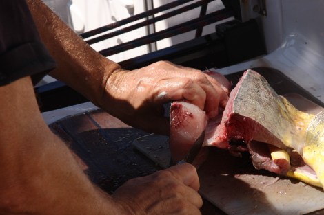 Fischfilets für mehrere Tage