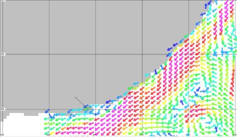 Die Strömungskarten zeigen uns, wo wir den Agulhas-Strom finden
