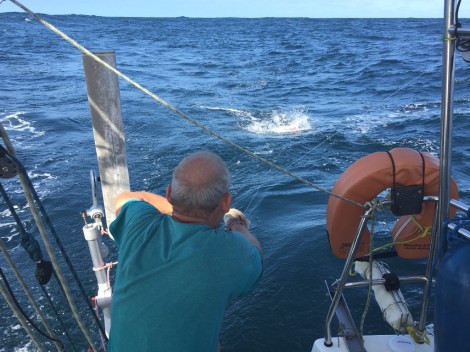 Da zerrt ein Fisch ganz schön an der Leine