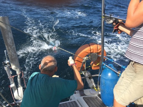 Wir ziehen ihn näher