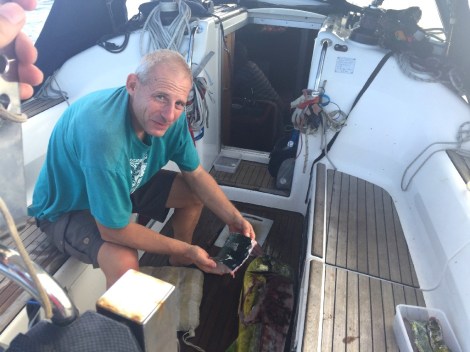 und dann gibt es viele Filets