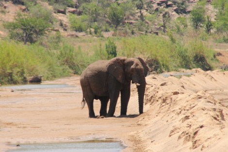 dieses Mal auch näher