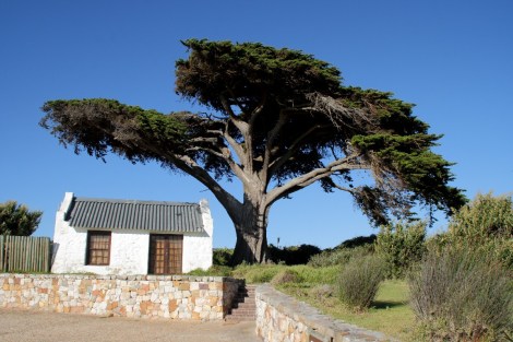 Auf dem Weg zum Cape Point