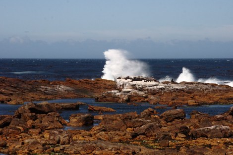 Am Kap der Guten Hoffnung