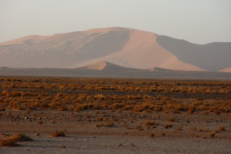Fahrt ins Sossusvlei-Tal