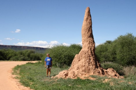 Annette neben einem Termitenhügel, im Hintergrund liegt der Waterberg