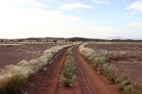 Fahrt durchs Gelände