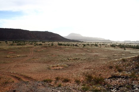 die Fehnkreise zu sehen