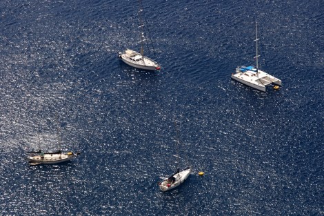 Anke-Sophie aus der Vogelperspektive