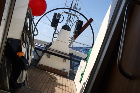 Das neue Pendelruderblatt aus Holz