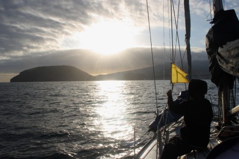 Annette setzt die Flagge Q für Quarantäne