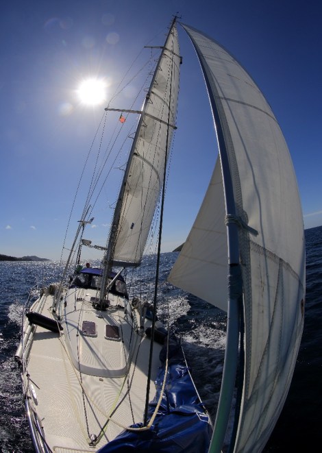 Die Anke-Sophie durch Saschas fotografisches "Fischauge"