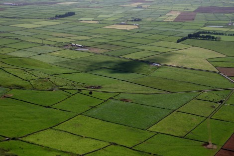 und immer wieder Canadas