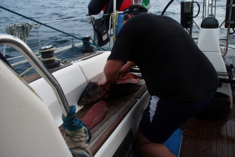 Paul in seinem Element