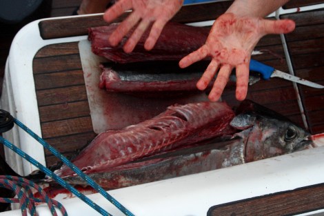 mit blutigen Händen