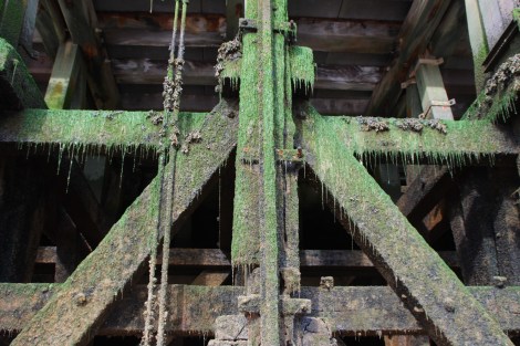 Impressionen im Tidenbereich