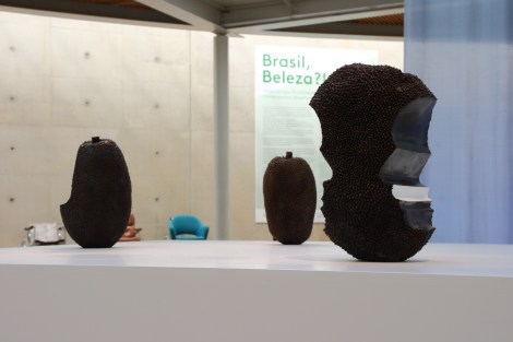 Wieder mal Brotfrüchte