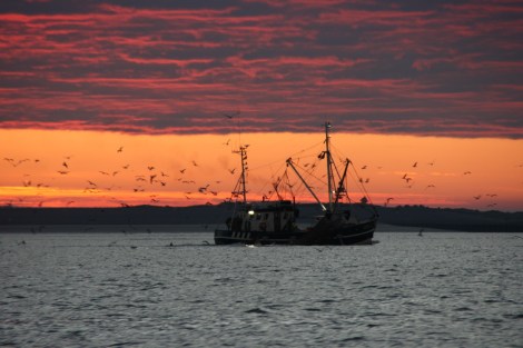 Wir erreichen Borkum bei Sonnenaufgang